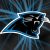 Carolina Panthers iPhone Wallpaper High Quality