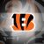 Cincinnati Bengals iPhone Apple Wallpaper