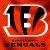 Cincinnati Bengals iPhone Screensaver