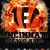 Wallpapers iPhone Cincinnati Bengals