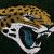 Jacksonville Jaguars iPhone Wallpaper High Quality
