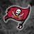 Tampa Bay Buccaneers Logo iPhone Screen Wallpaper