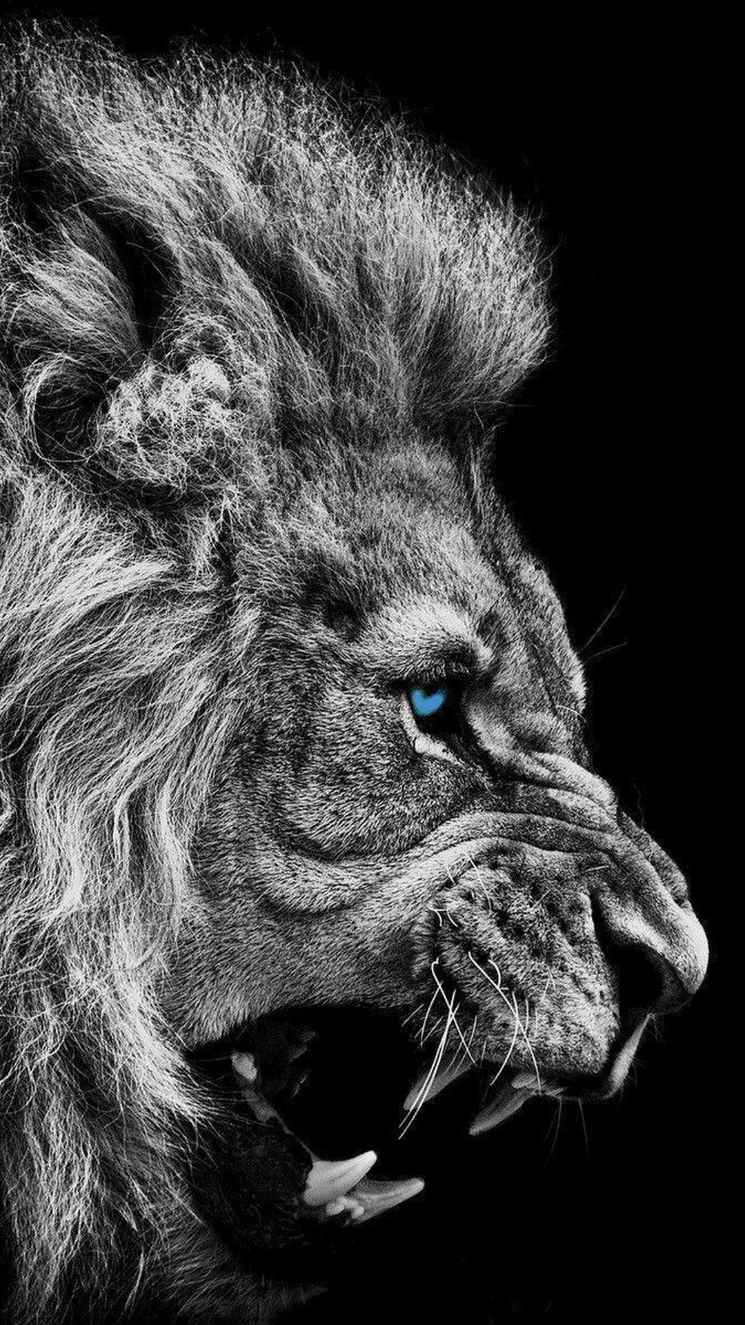 Detroit Lions iPhone Wallpaper Size with high-resolution 1080x1920 pixel. Donwload and set as wallpaper for your iPhone X, iPhone XS home screen backgrounds, XS Max, XR, iPhone8 lock screen wallpaper, iPhone 7, 6, SE and other mobile devices